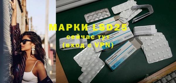 ПСИЛОЦИБИНОВЫЕ ГРИБЫ Алзамай