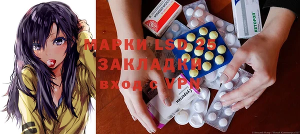 ПСИЛОЦИБИНОВЫЕ ГРИБЫ Алзамай
