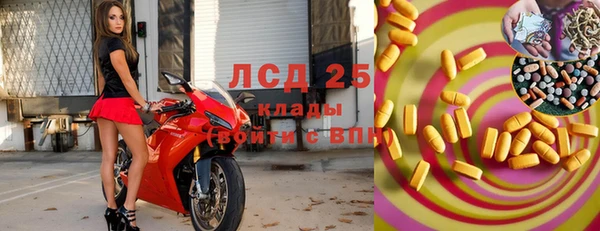 ПСИЛОЦИБИНОВЫЕ ГРИБЫ Алзамай